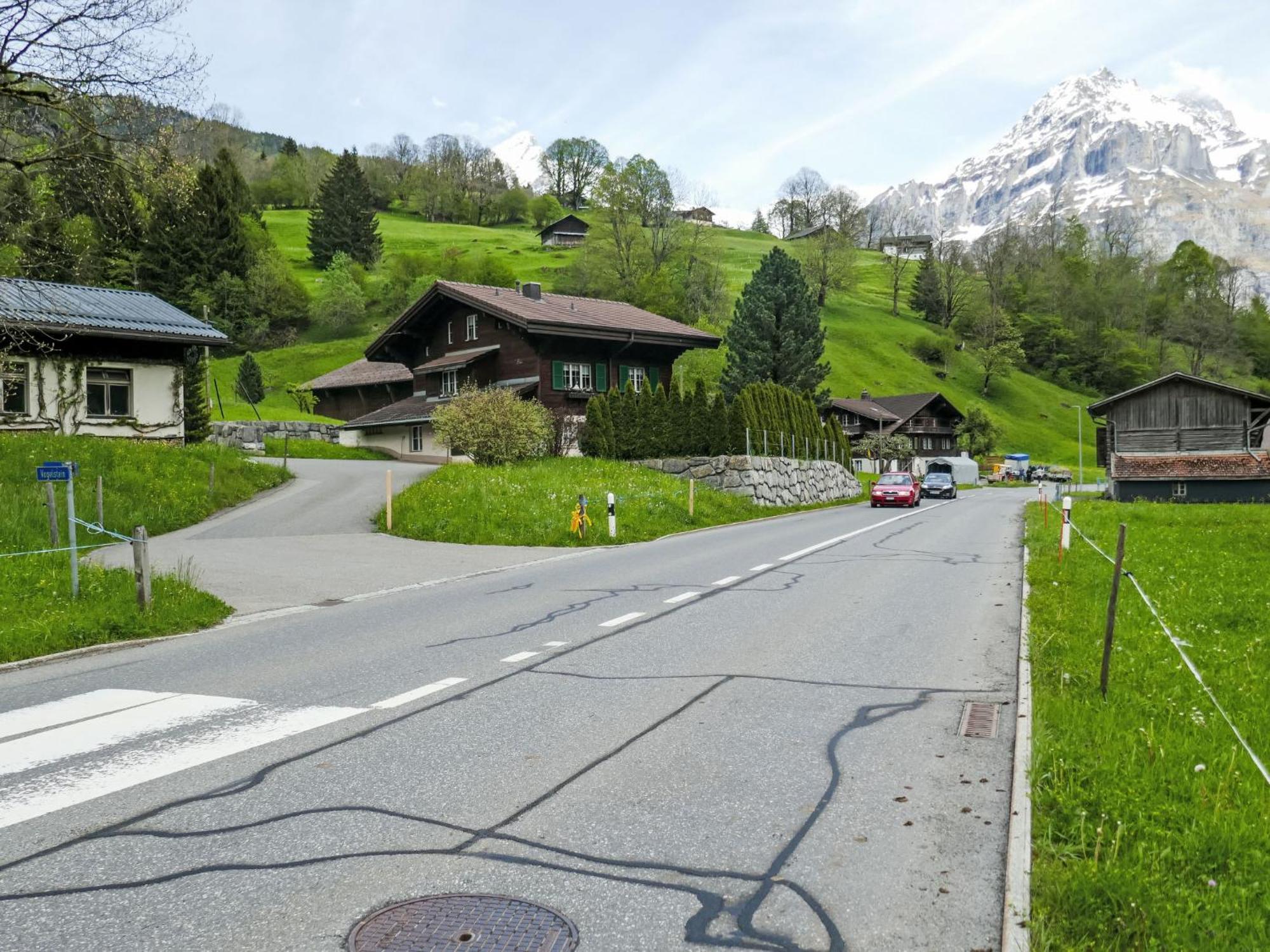 Apartment Chalet Auf Dem Vogelstein-2 By Interhome Grindelwald Buitenkant foto