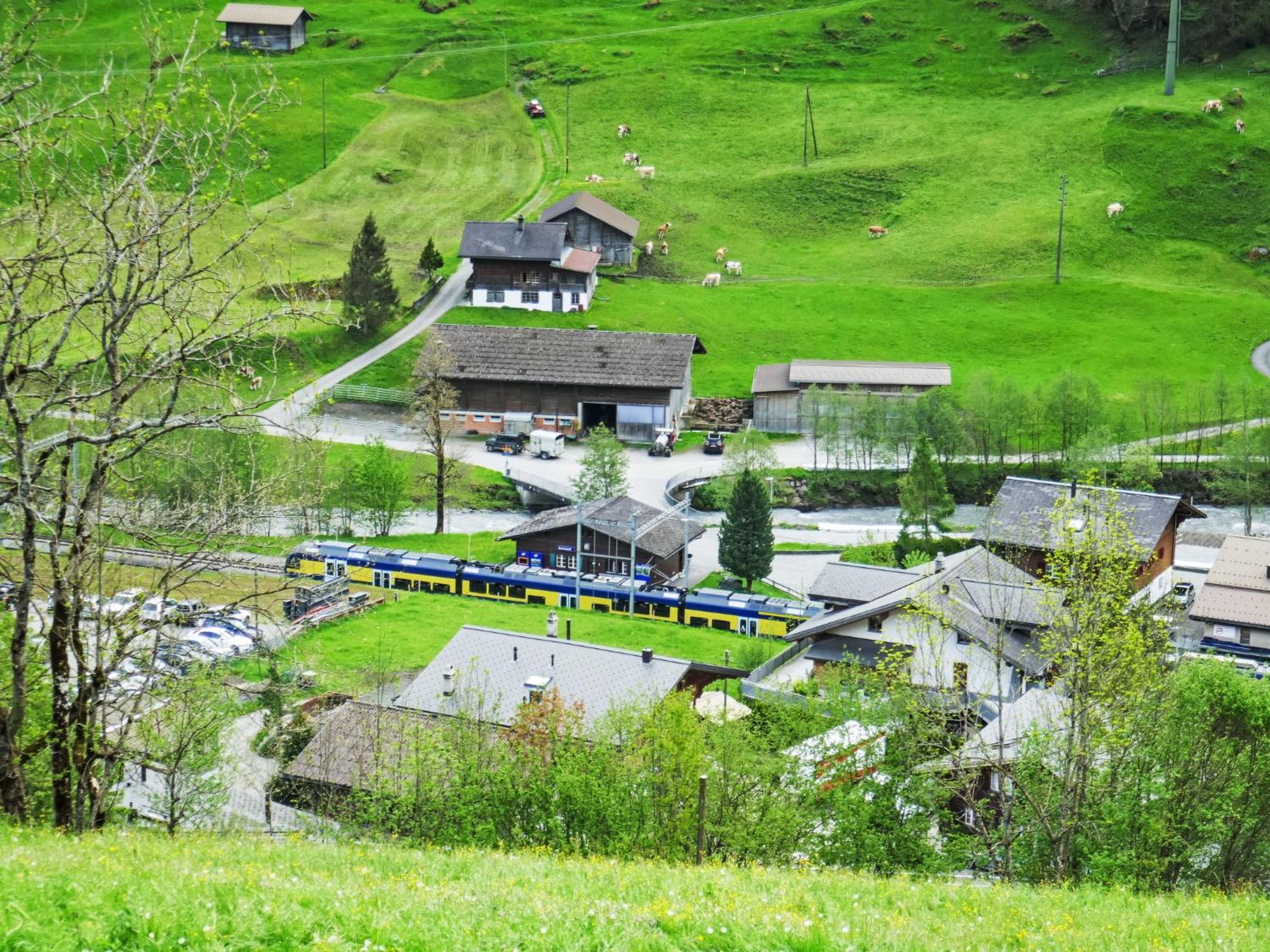 Apartment Chalet Auf Dem Vogelstein-2 By Interhome Grindelwald Buitenkant foto