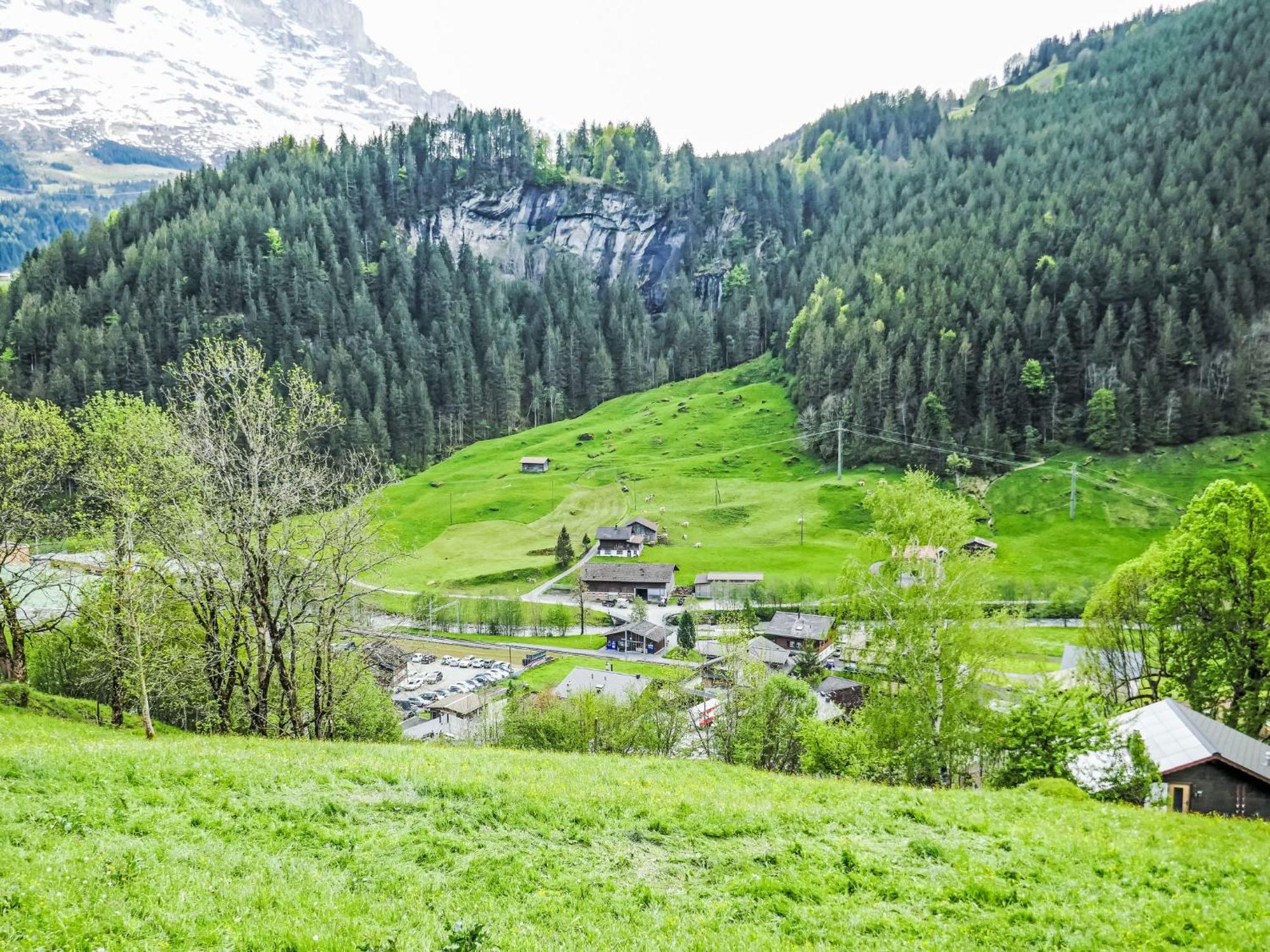 Apartment Chalet Auf Dem Vogelstein-2 By Interhome Grindelwald Buitenkant foto